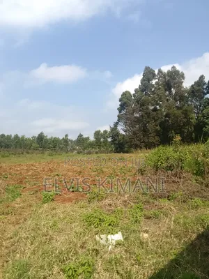 Land for Sale in Limuru