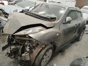 Nissan Juke 2016 Gray