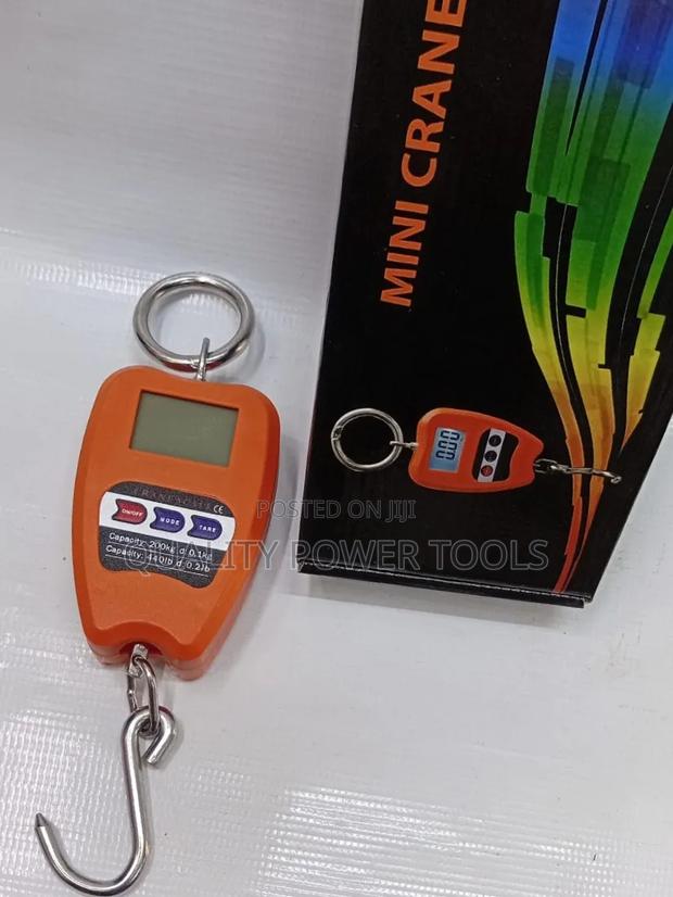 Digital Mini Crane Scale