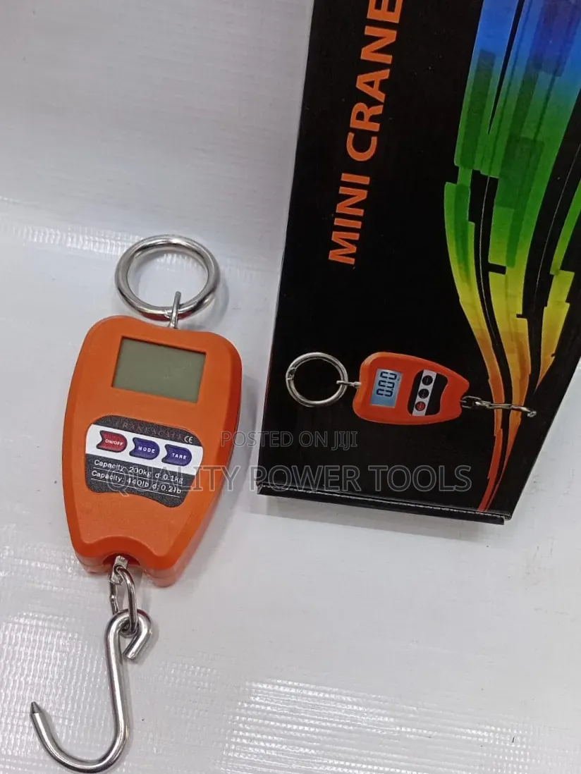 Digital Mini Crane Scale
