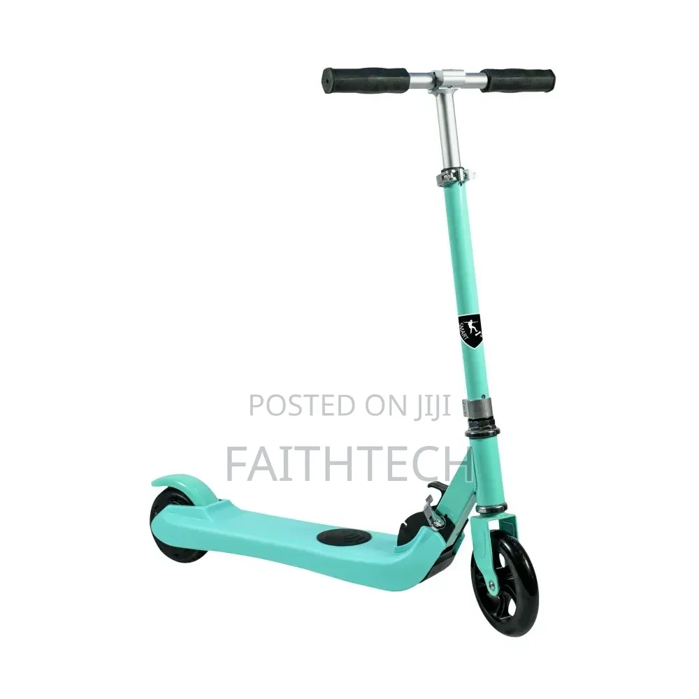 Executive Metallic Scooter