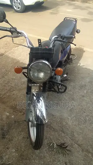 Bajaj Boxer 100 2016 Blue