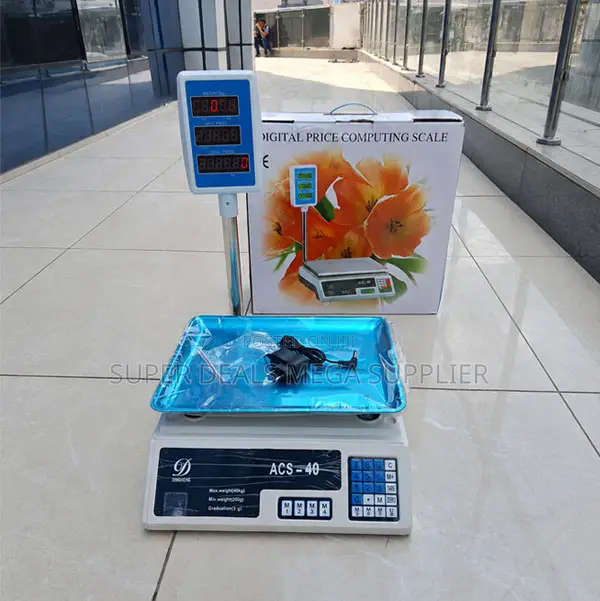 Ac Powered Acs 40 Upto 40kgs Computerized Electronic Weight Scale