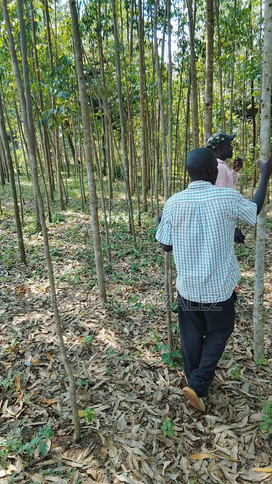 1acre Land
