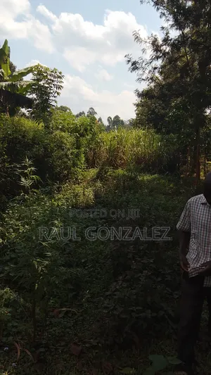 1acre Land