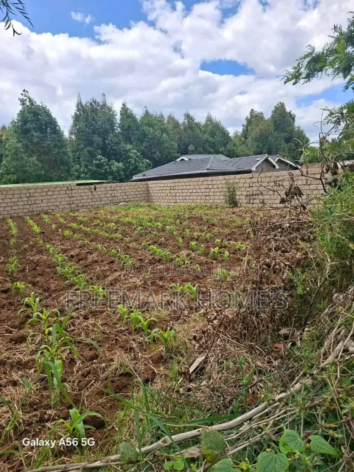 Kikuyu Ndeiya Plot on Sale