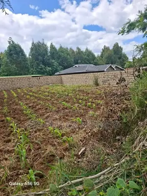 Kikuyu Ndeiya Plot on Sale