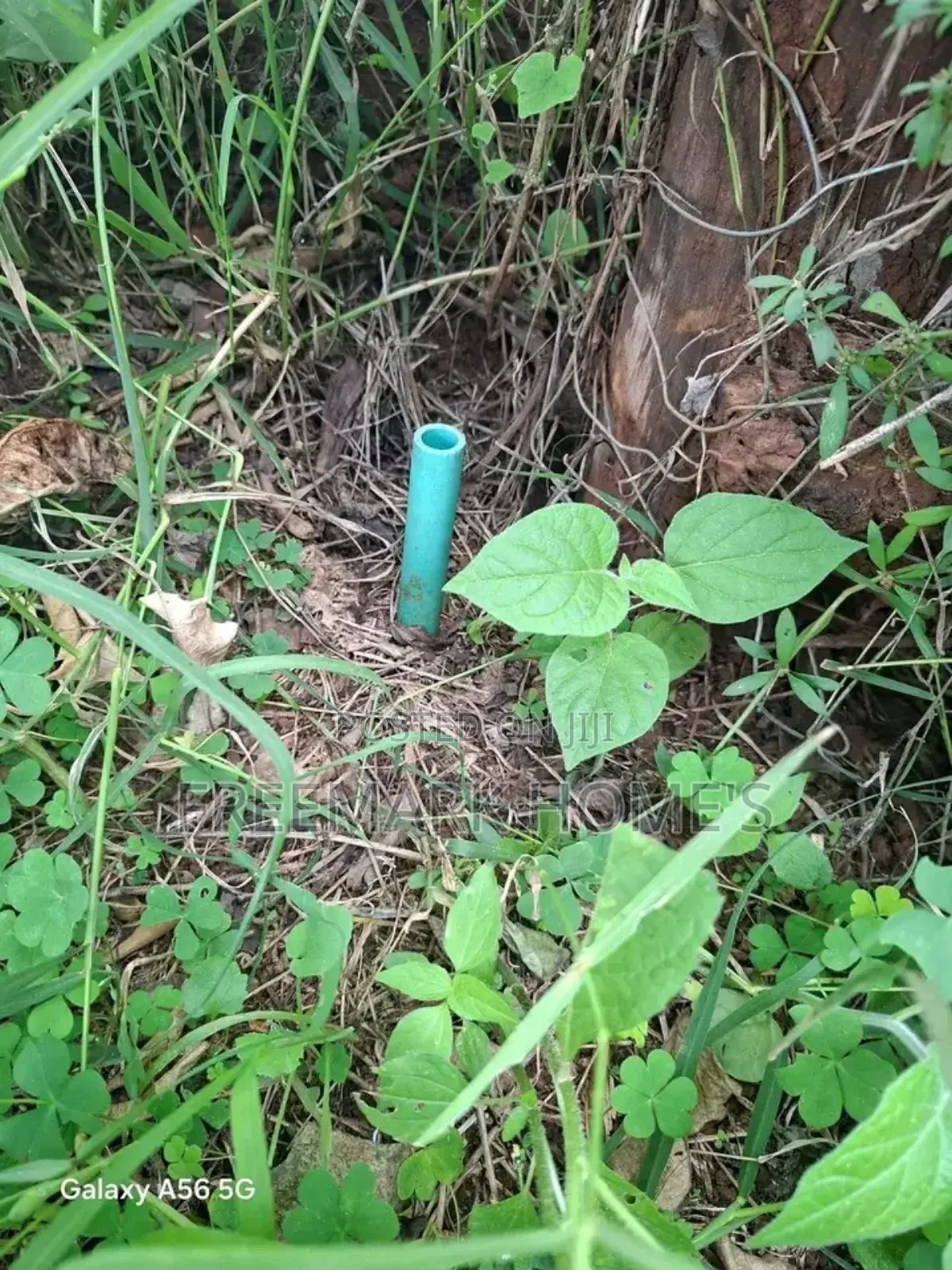 Kikuyu Ndeiya Plot on Sale