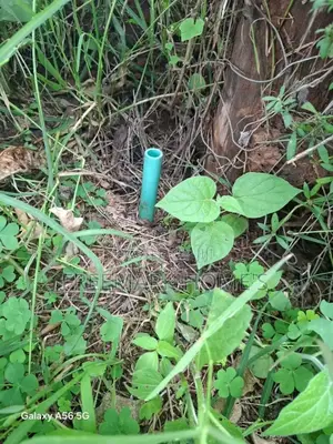 Kikuyu Ndeiya Plot on Sale