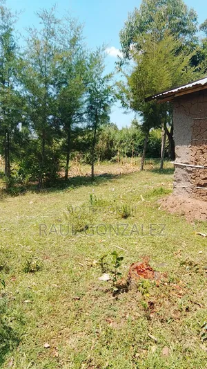 1/4 Acre Piece of Land