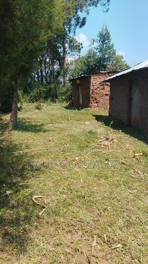 1/4 Acre Piece of Land
