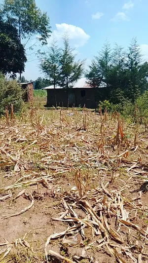 1/4 Acre Piece of Land