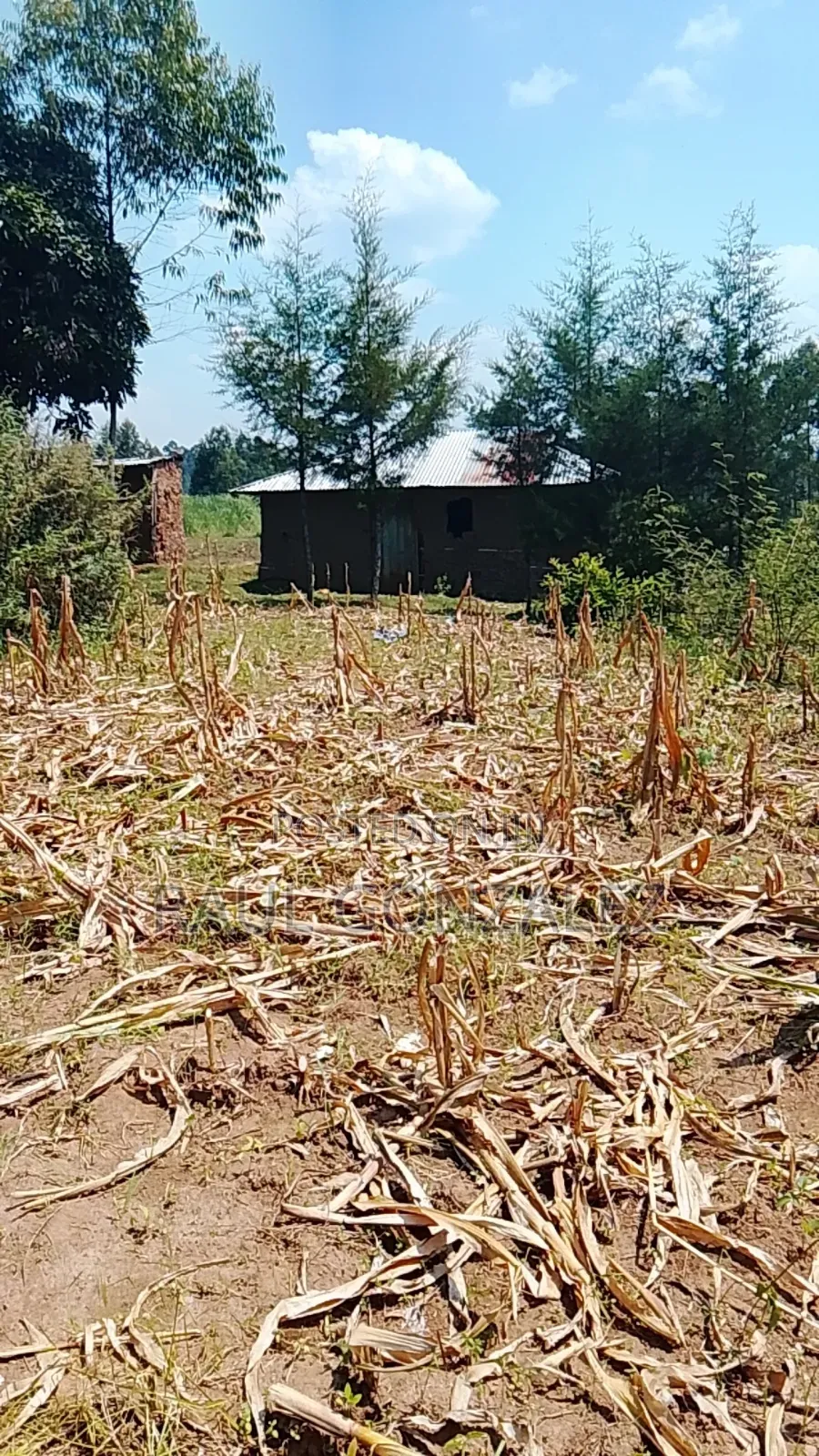 1/4 Acre Piece of Land