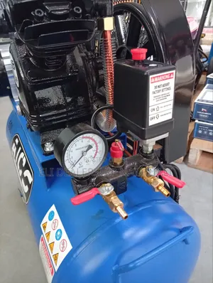 Portable 50l Air Compressor With Twin Cylinder Pump/ Ac250s