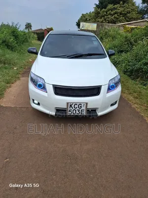 Toyota Corolla Fielder 2008 White