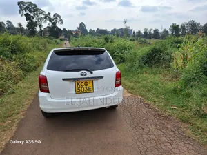 Toyota Corolla Fielder 2008 White
