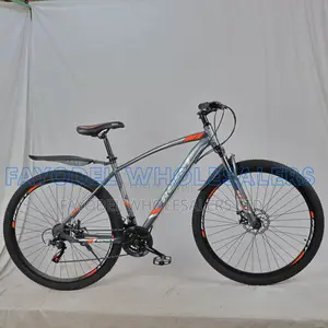 Reset 29" Mountain Bike – 21 Speed | Aluminium Frame | Grey