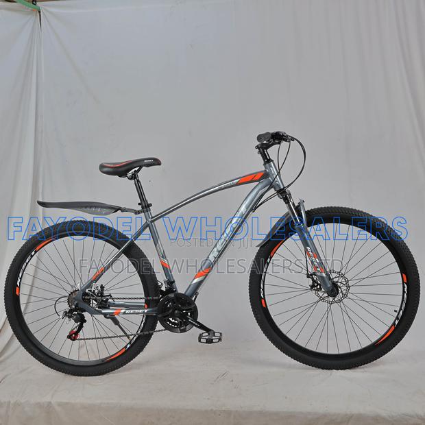 Reset 29" Mountain Bike – 21 Speed | Aluminium Frame | Grey