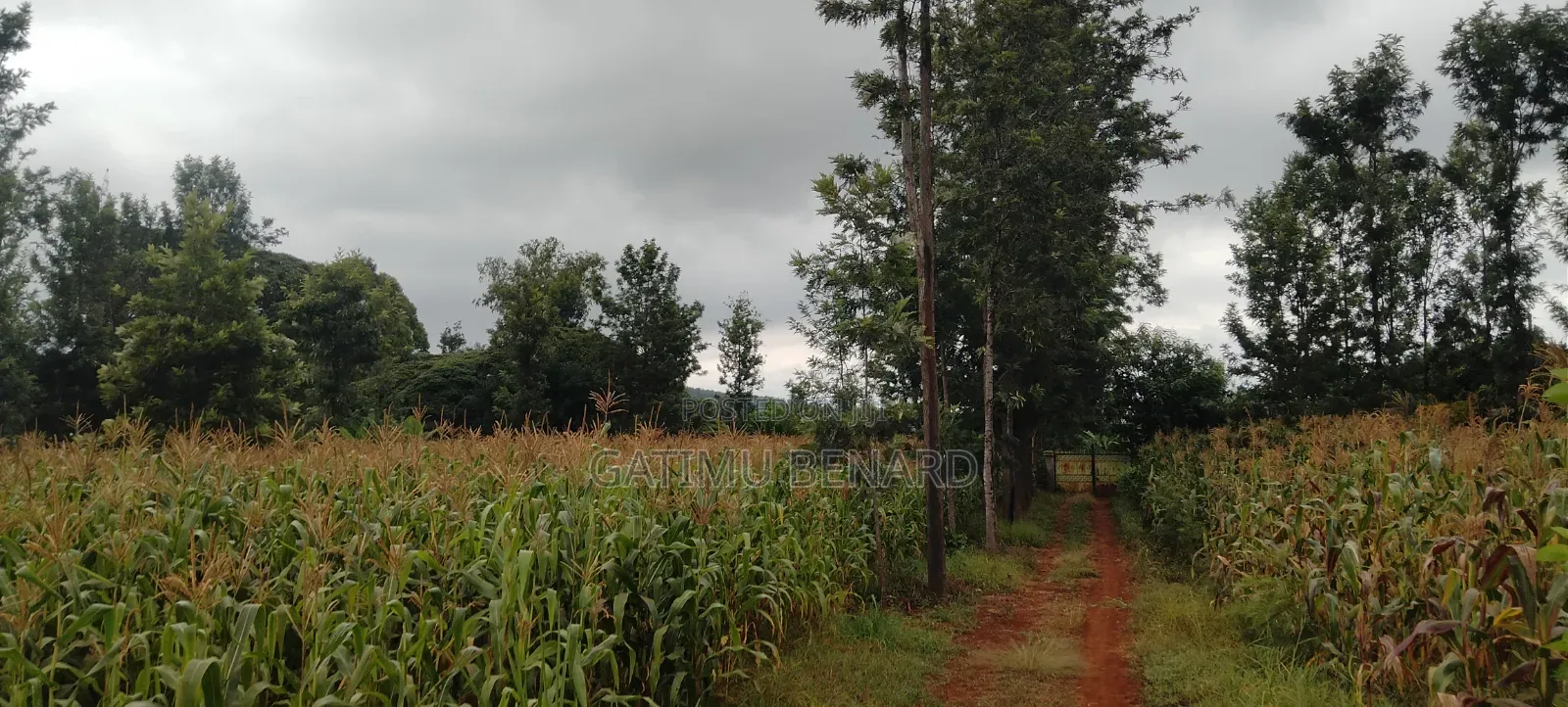 Prime 2 3⁄4-Acre Riverfront Paradise, Build Your Dream Home or Farm