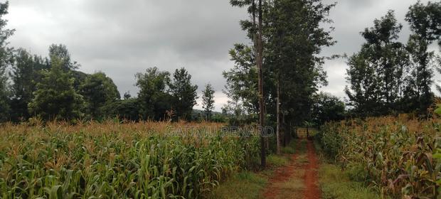 Prime 2 1⁄4-Acre Riverfront Paradise, Build Your Dream Home or Farm