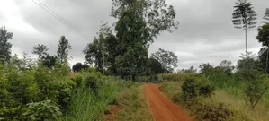 Prime 2 3⁄4-Acre Riverfront Paradise, Build Your Dream Home or Farm