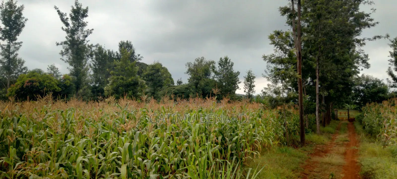 Prime 2 3⁄4-Acre Riverfront Paradise, Build Your Dream Home or Farm