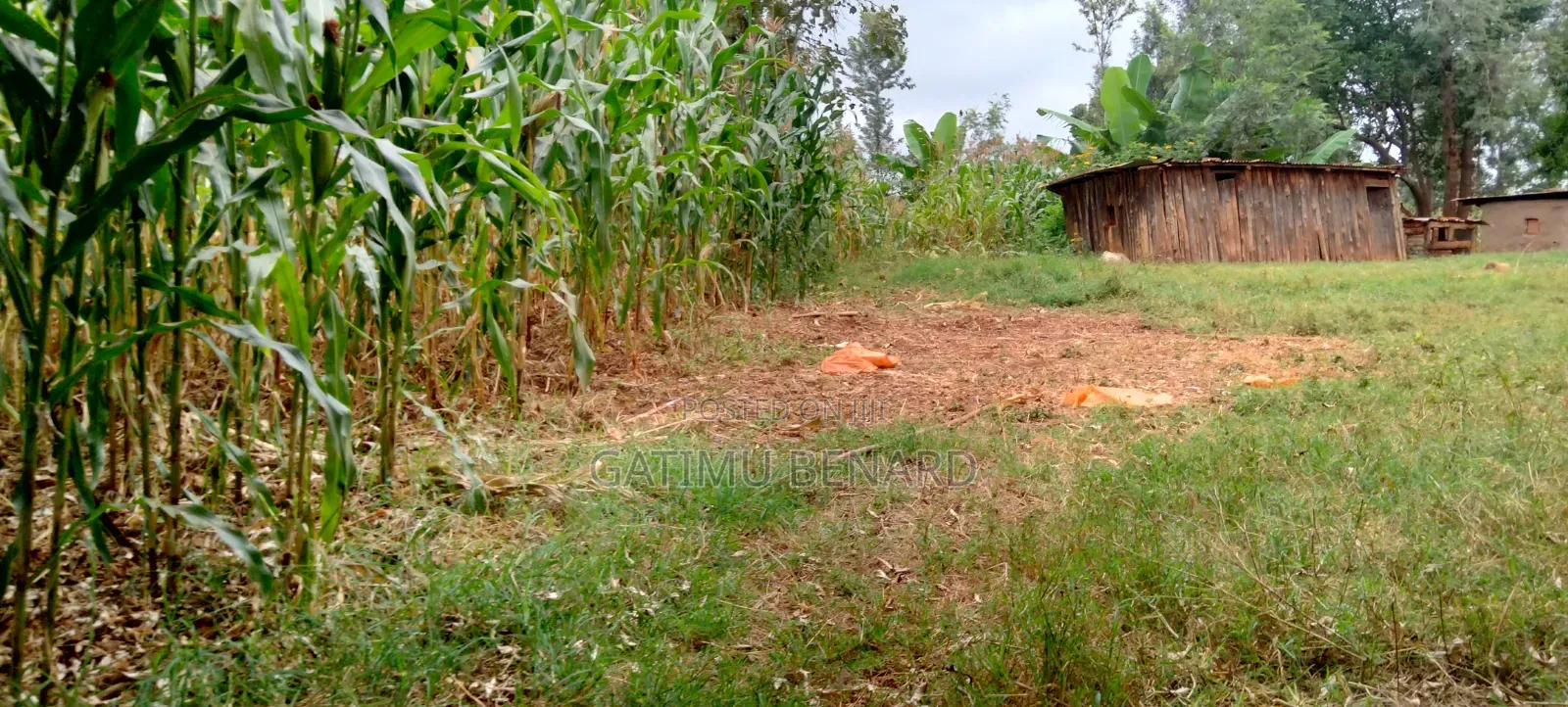 Prime 2 3⁄4-Acre Riverfront Paradise, Build Your Dream Home or Farm