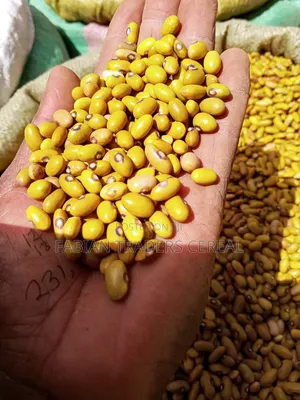 Beans and Maize