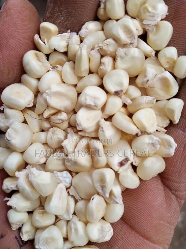 Beans and Maize - thumbnail 3