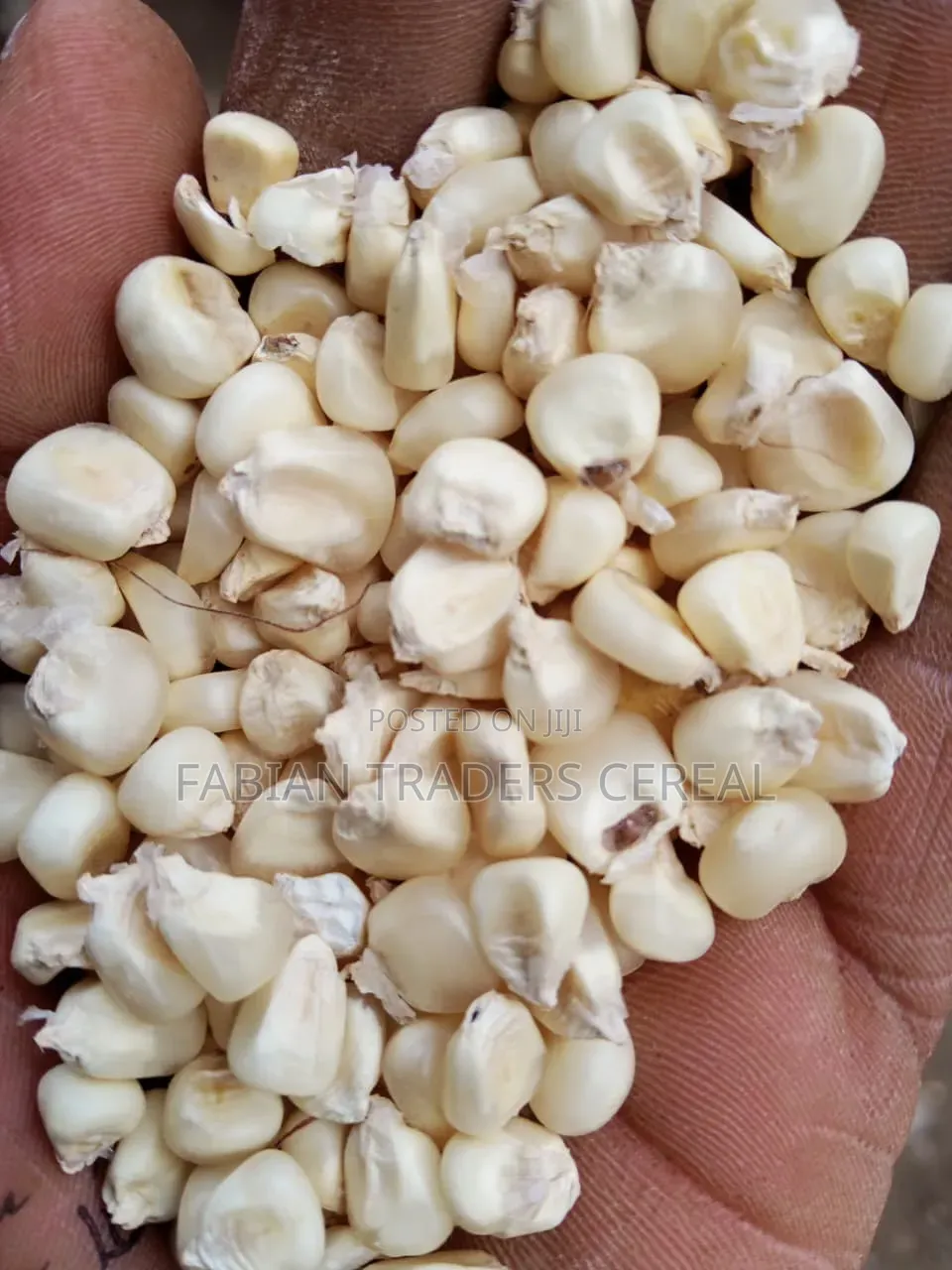 Beans and Maize