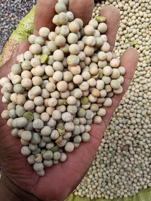 Beans and Maize