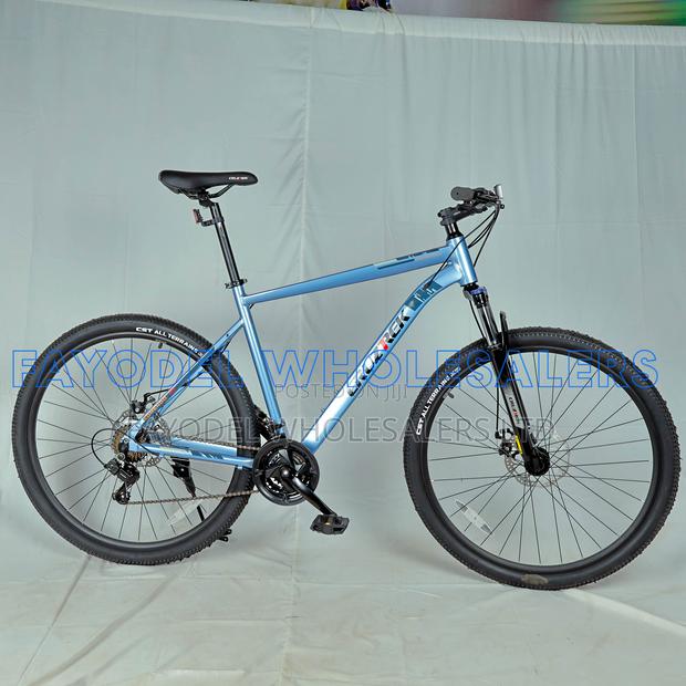 Cruz Trek 29" Mountain Bike – Aluminium Frame | Disc Brakes