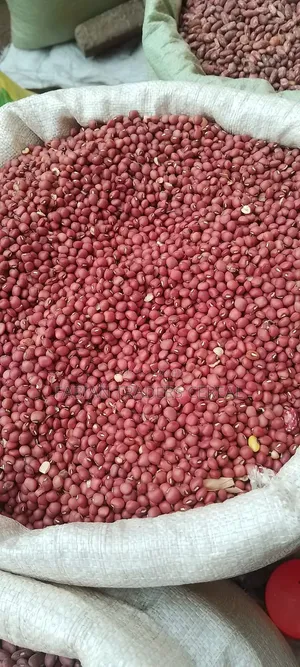 Animal and Pigs Feed