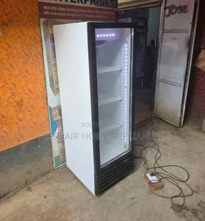 Fast Cooling Display Fridge 300litres