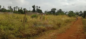 Prime (0.70 Hectare) Plot for Sale in Kimbimbi Karoti Kirinyaga