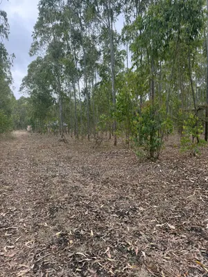 2no.Plots 100x100 Rangau