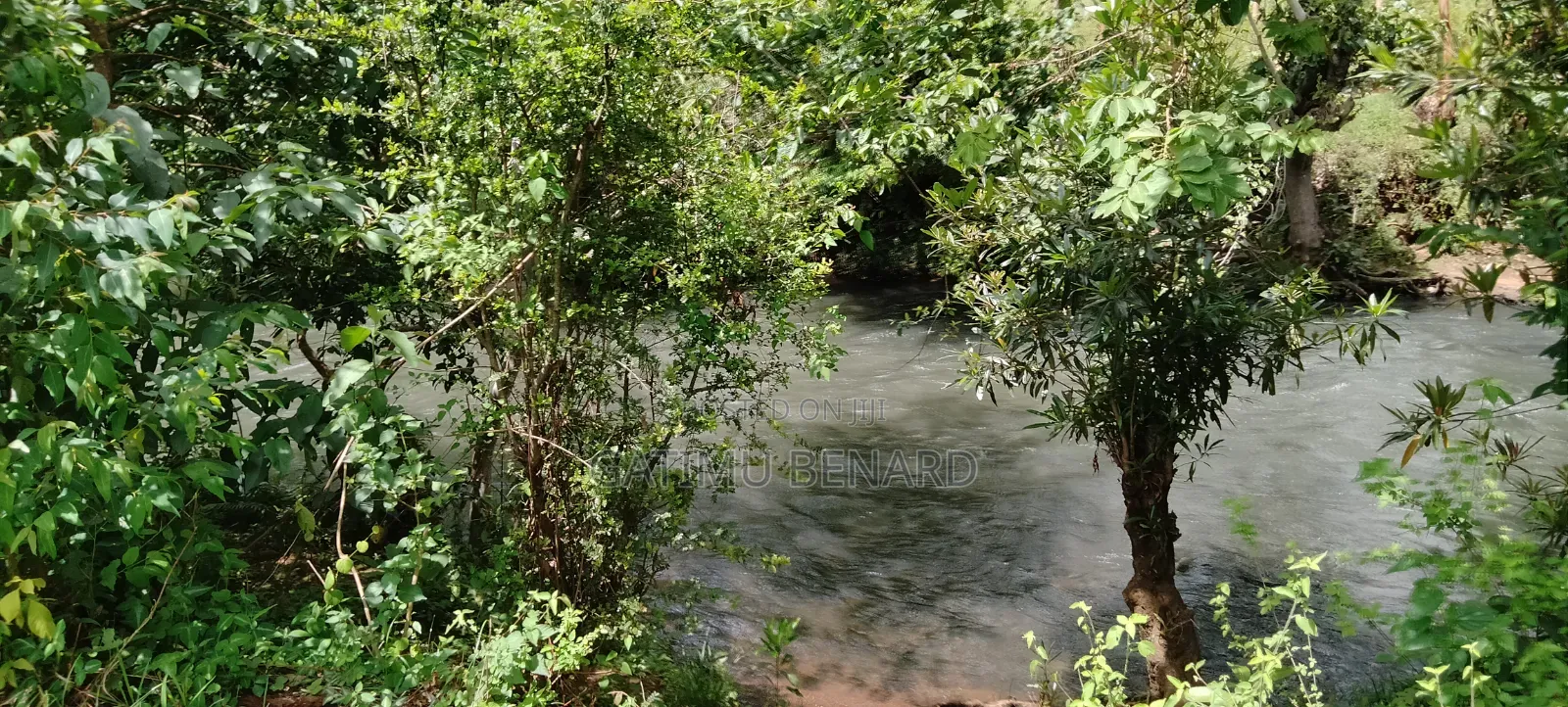 Prime 2 3⁄4-Acre Riverfront Paradise, Build Your Dream Home or Farm