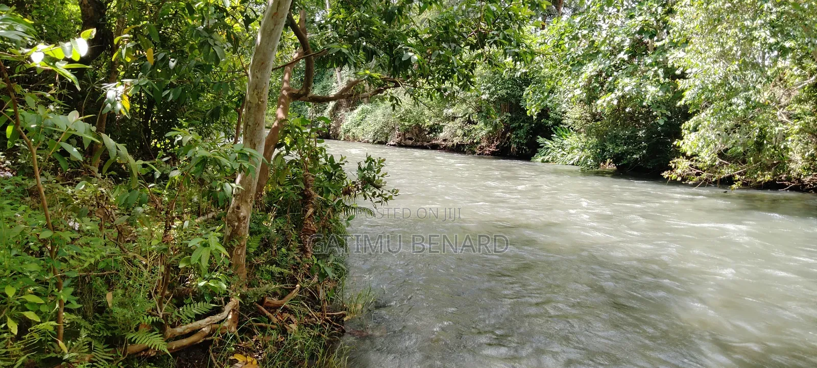 Prime 2 3⁄4-Acre Riverfront Paradise, Build Your Dream Home or Farm