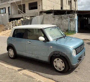 Suzuki Alto 2019 Blue
