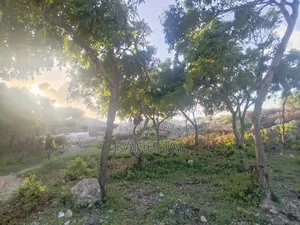 1l2 Acre Land(1/2)