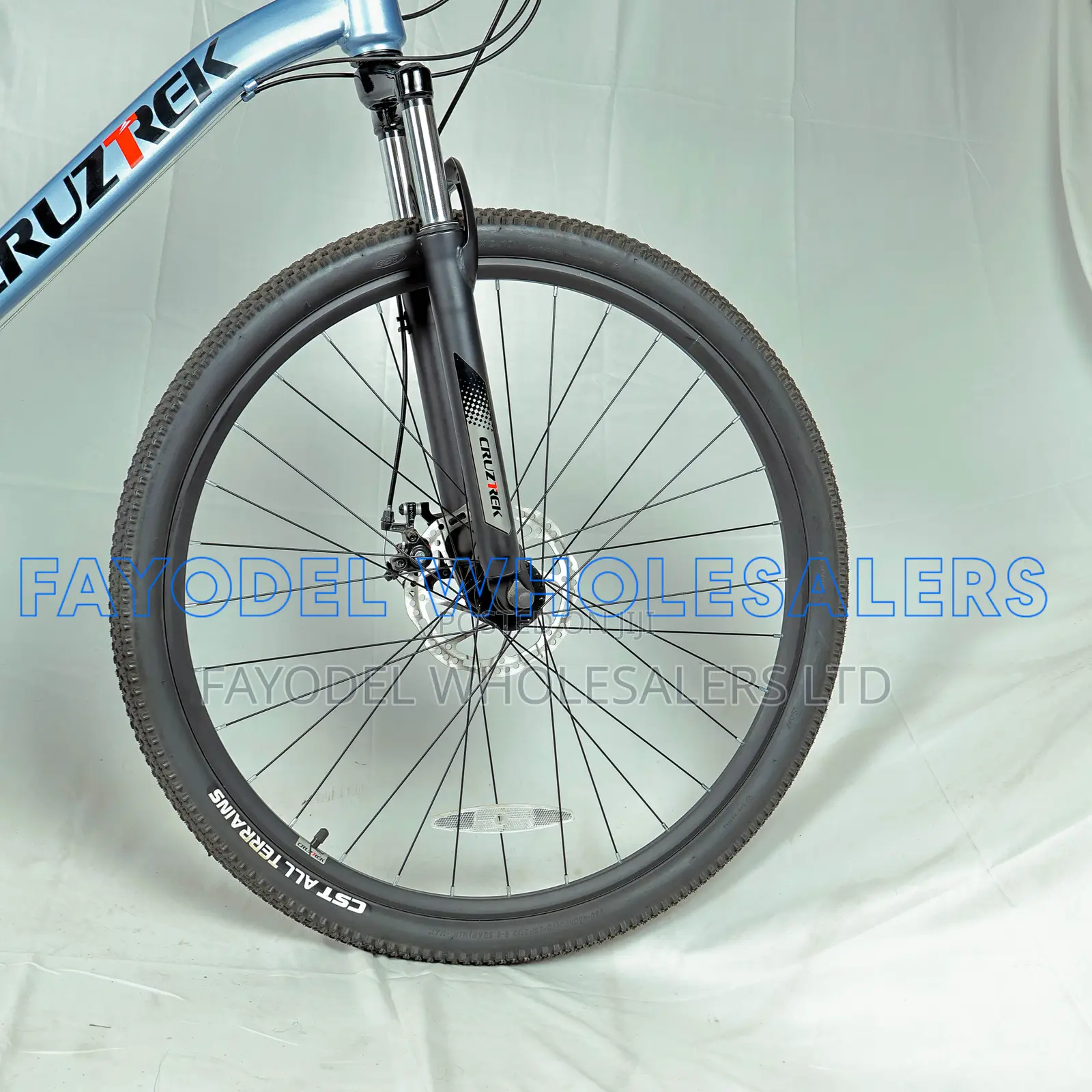 Brand New Cruz Trek 29 Inch Bicycle