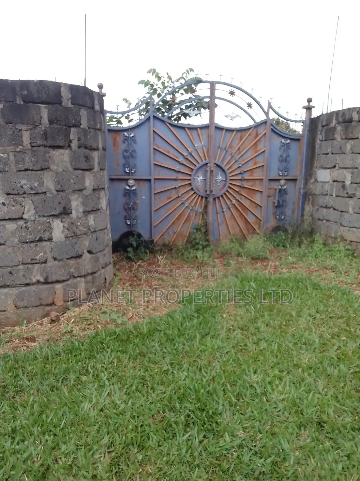 Kagongo Ruaka B. 2km to Ruaka