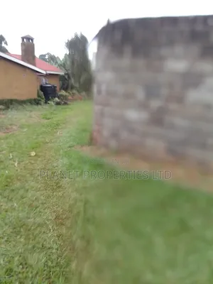 Kagongo Ruaka B. 2km to Ruaka