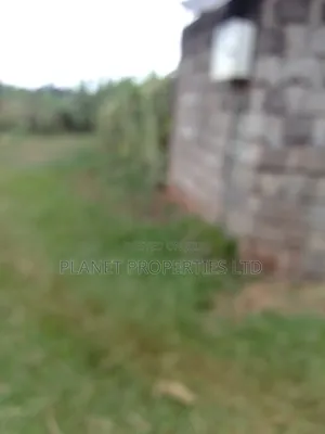 Kagongo Ruaka B. 2km to Ruaka