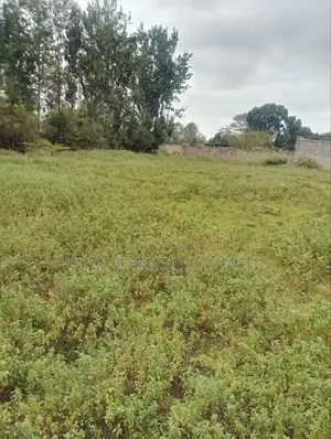 Prime 1 Acre for Sale in Karen