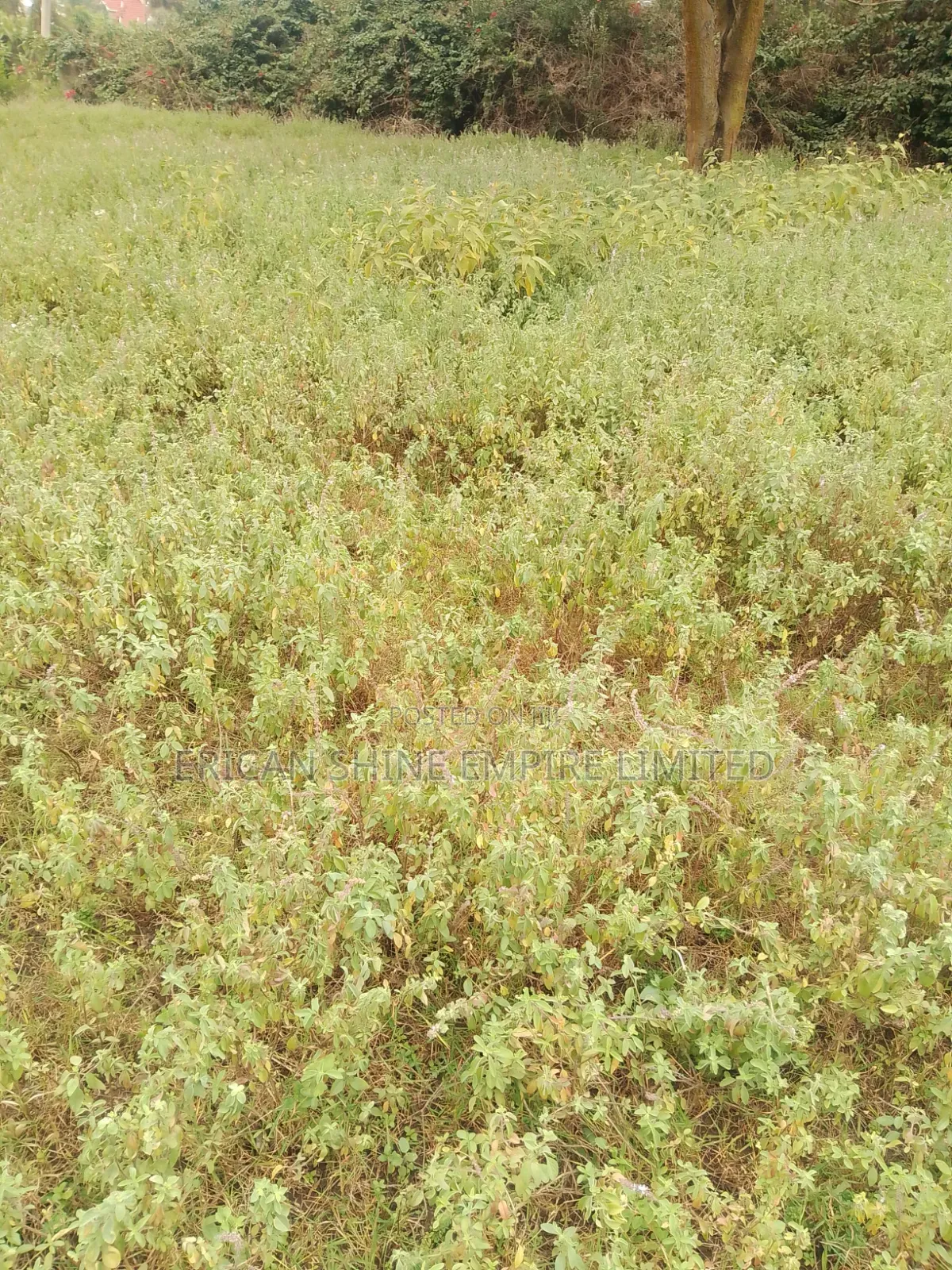 Prime 1 Acre for Sale in Karen