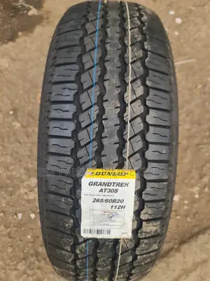 265 /60 R20 Dunlop Tires (Japan)