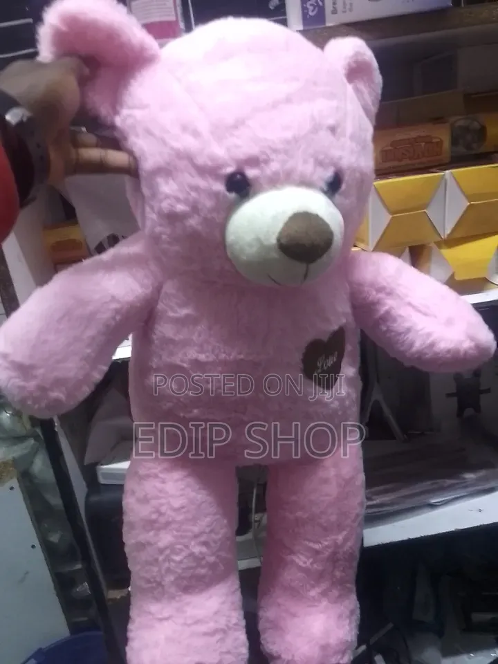 Girls Teddy Bear Doll.