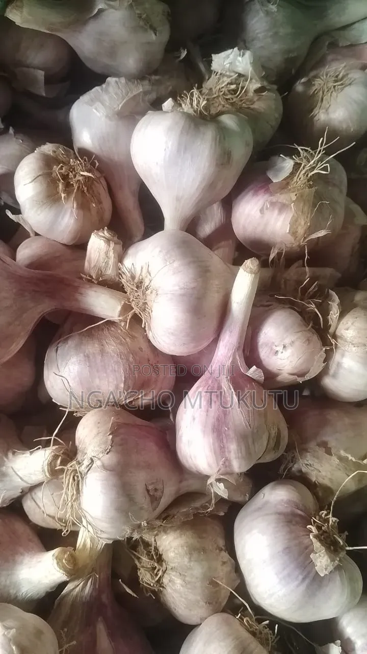 Large Garlic