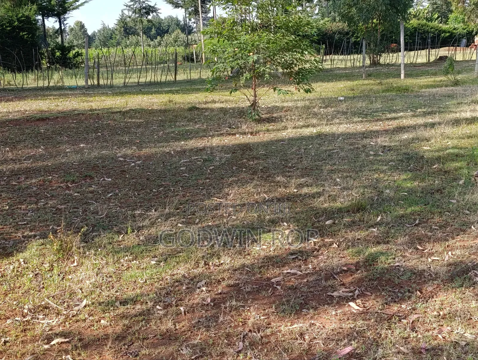 1⁄4 Plot for Sale in Kipkorgot, Eldoret.